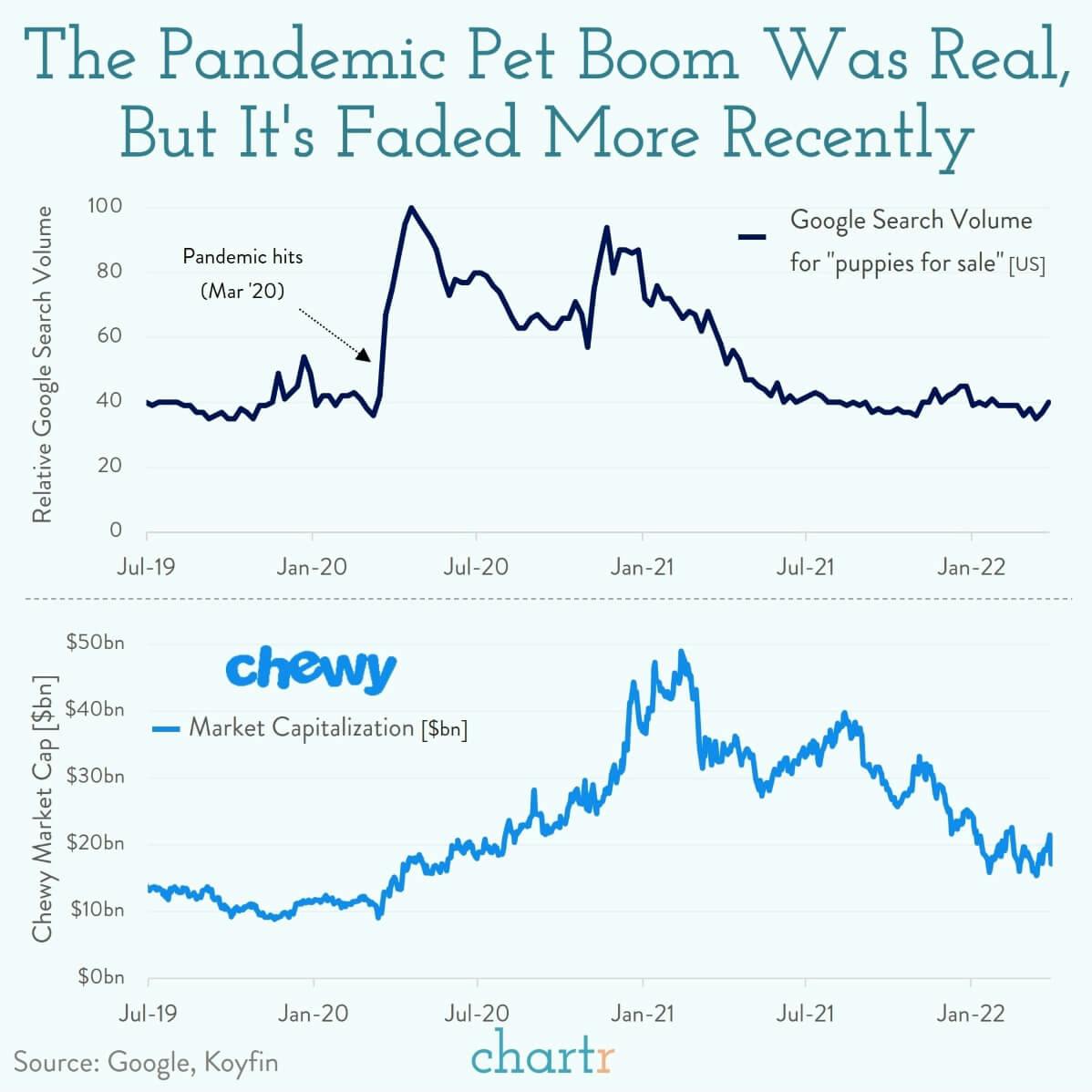 The pandemic pet boom: We all wanted pets during the pandemic thumbnail