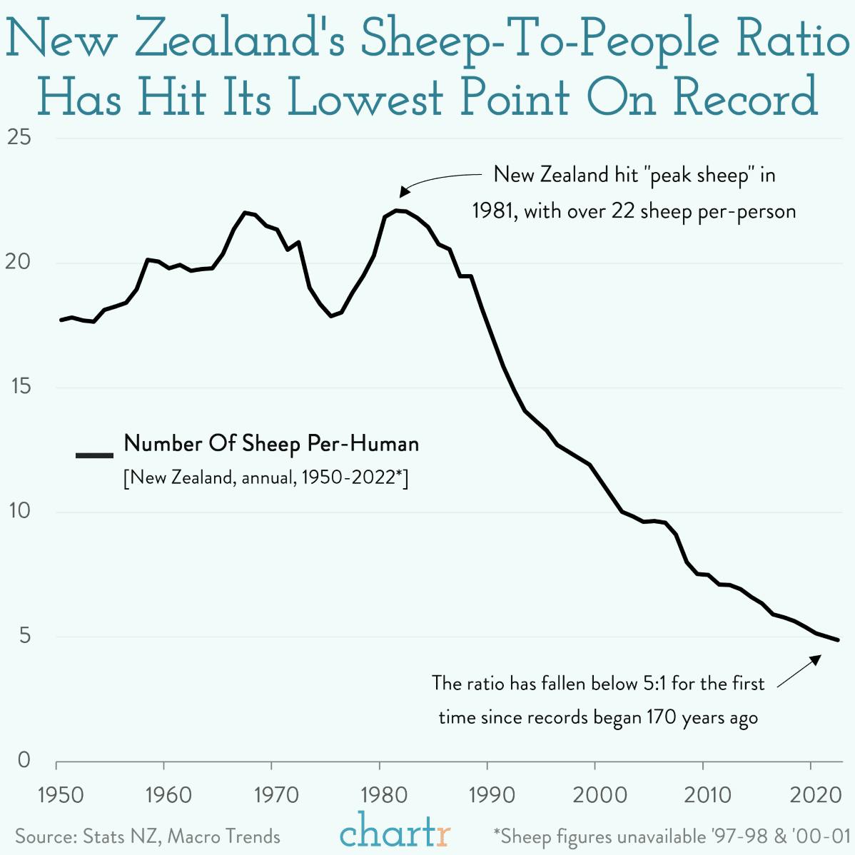 Counting sheep: New Zealand's sheep-to-human ratio has dropped thumbnail