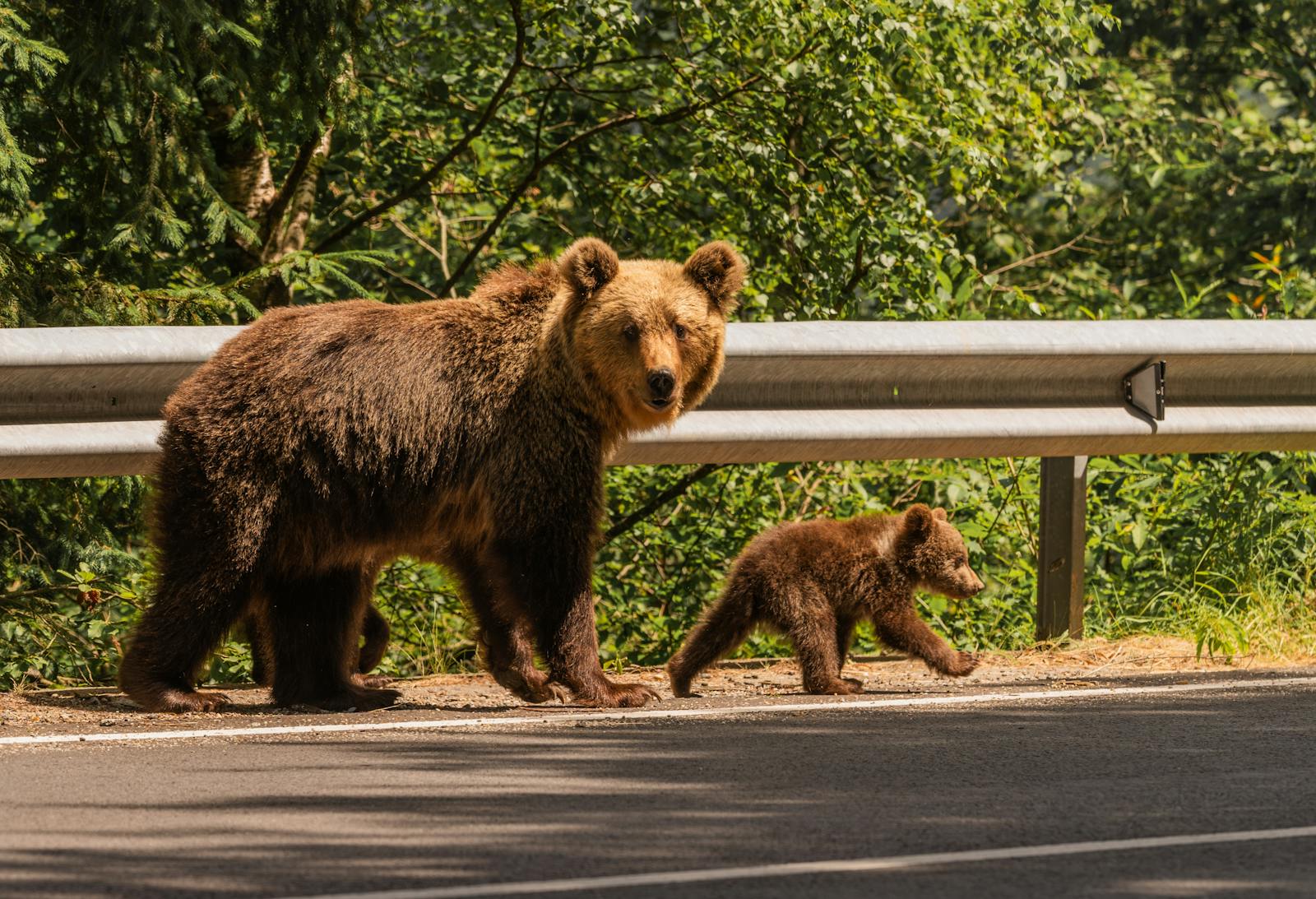 Market wrap: S&P 500 dips, oil rises on Middle East escalation thumbnail